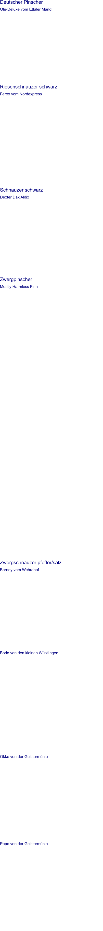 Deutscher Pinscher Ole-Deluxe vom Ettaler Mandl   Riesenschnauzer schwarz Ferox vom Nordexpress   Schnauzer schwarz Dexter Dax Aldix   Zwergpinscher Mostly Harmless Finn         Zwergschnauzer pfeffer/salz Barney vom Wehrahof   Bodo von den kleinen Wüstlingen    Okke von der Geistermühle    Pepe von der Geistermühle